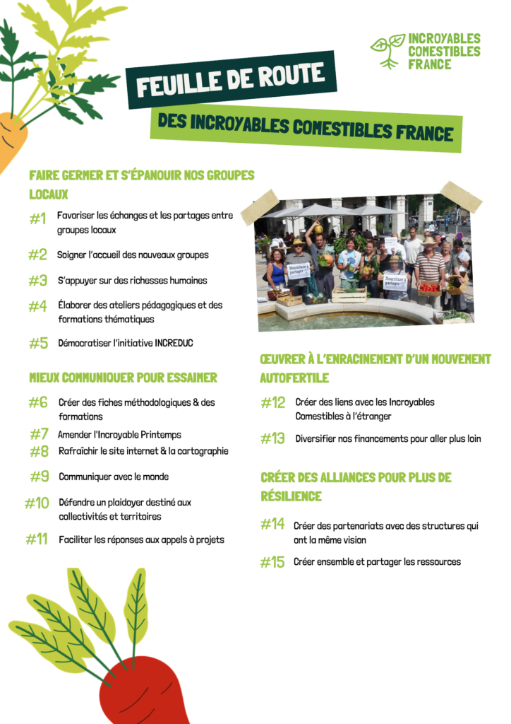 Feuille de route ICF 2024