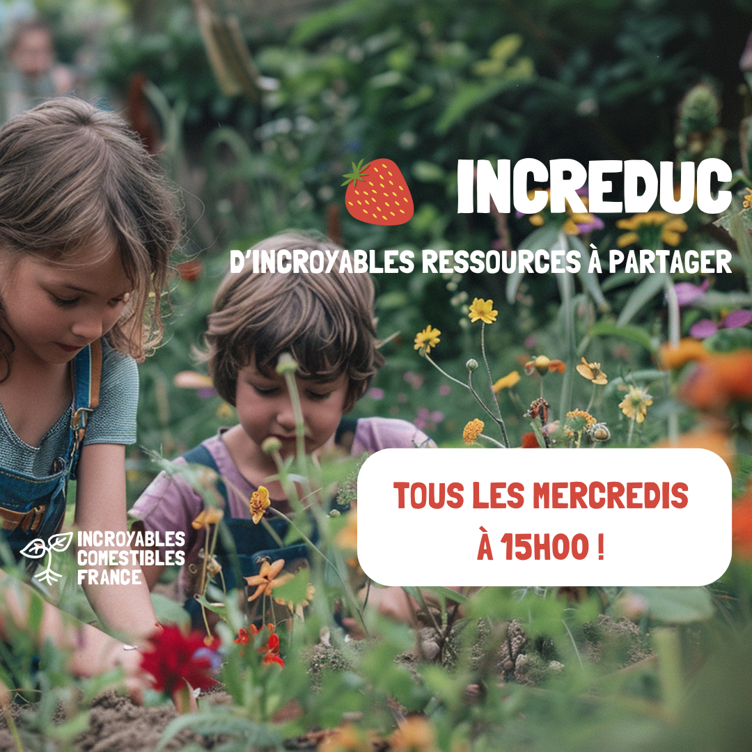 INCREDUC Tous les mercredis à 15h00 Les Incroyables Comestibles France